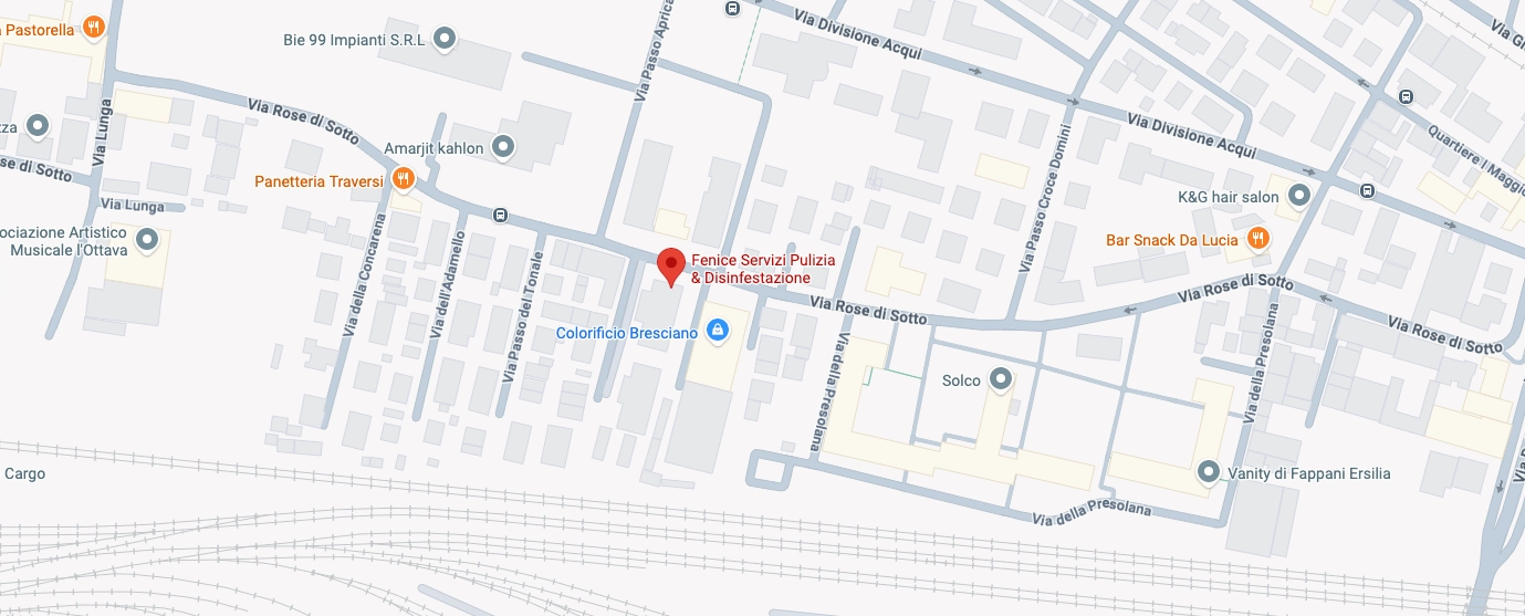 Mappa Fenice