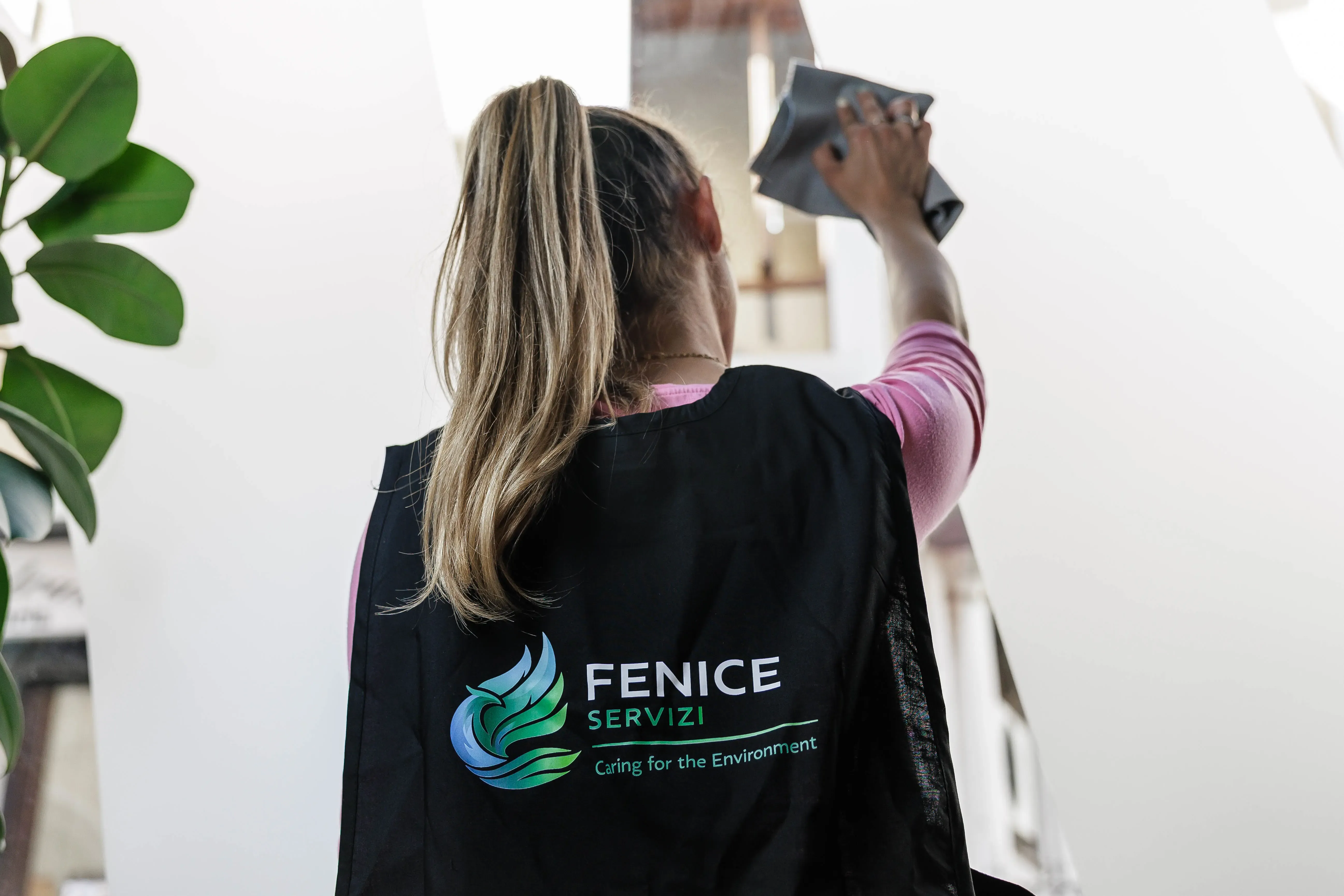 Dettaglio Fenice soluzione 2
